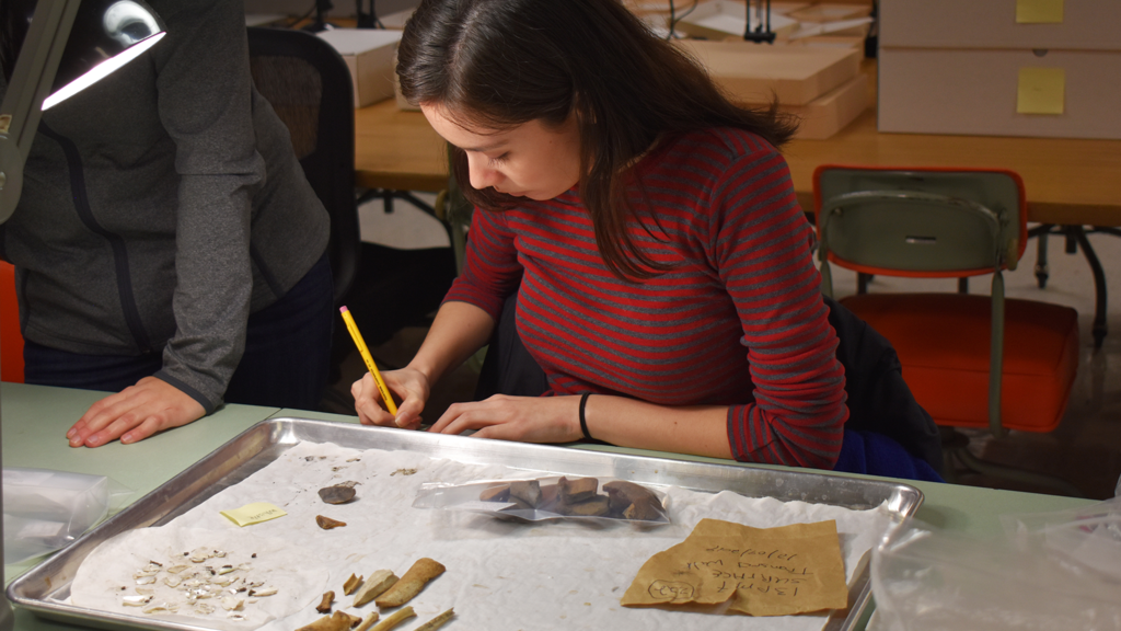 photo of a student taking notes with a tray of artifacts sorted in front of her