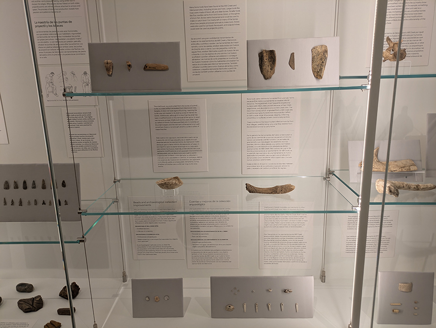 A close-up of exhibit items on clear shelves with a white background and large glass window