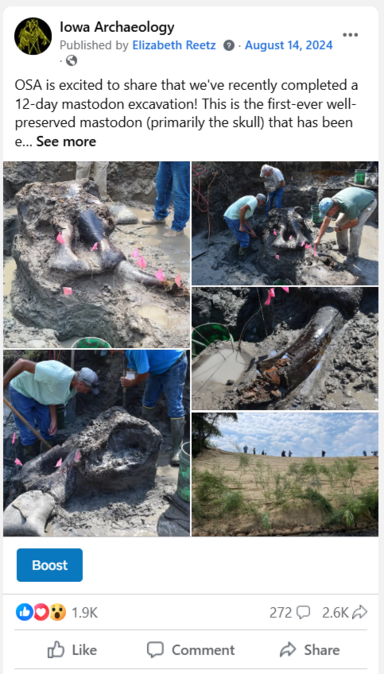 A screenshot of a Facebook post about a mastodon excavation, showing the number of likes and shares.
