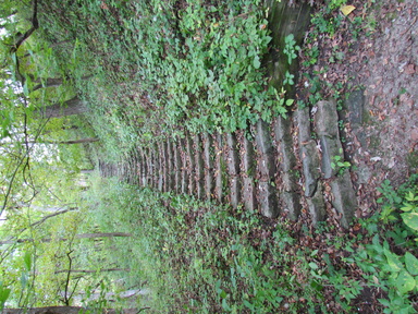 stone block staircase in the woods