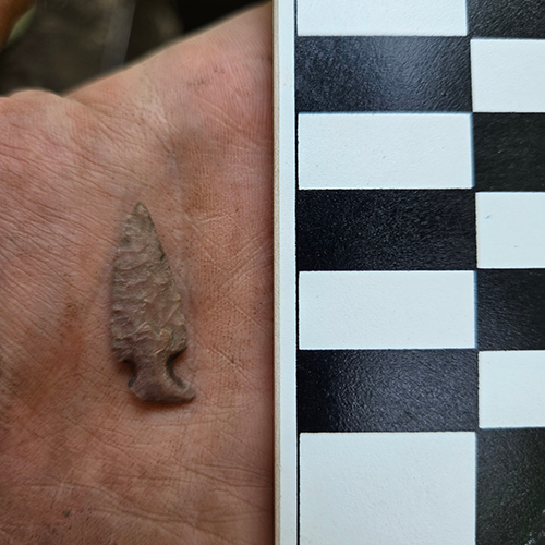 A stone projectile point next to a scale in someone's hand