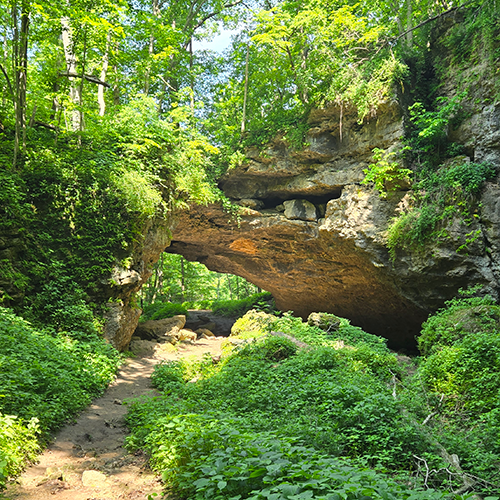 A natural rock bridge in a green summer forest