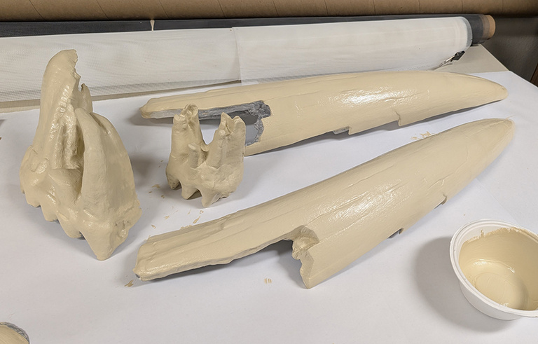 Two 3D printed mastodon tusks and two teeth after primed with paint