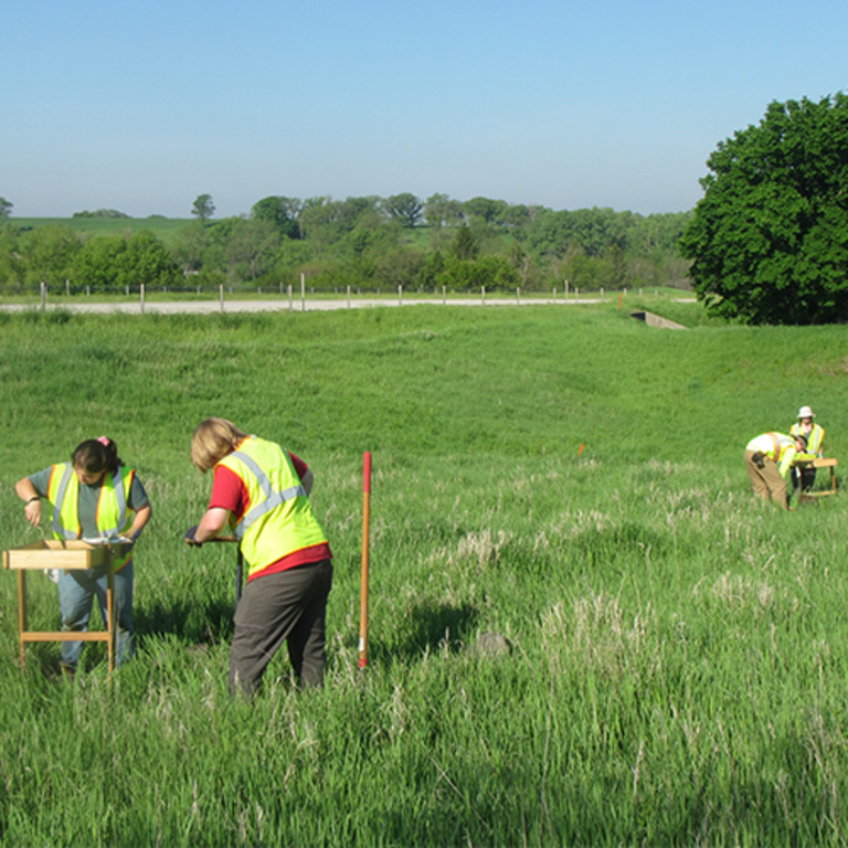 archaeologists screening in a field