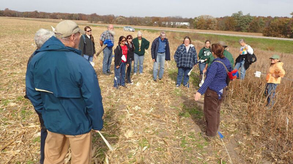 Group of people standing in a circle in an autumn corn field