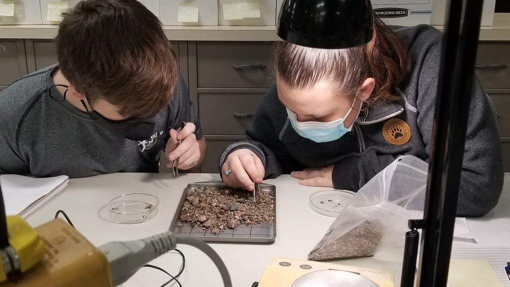 Two women pick through items on a small tray with tweezers