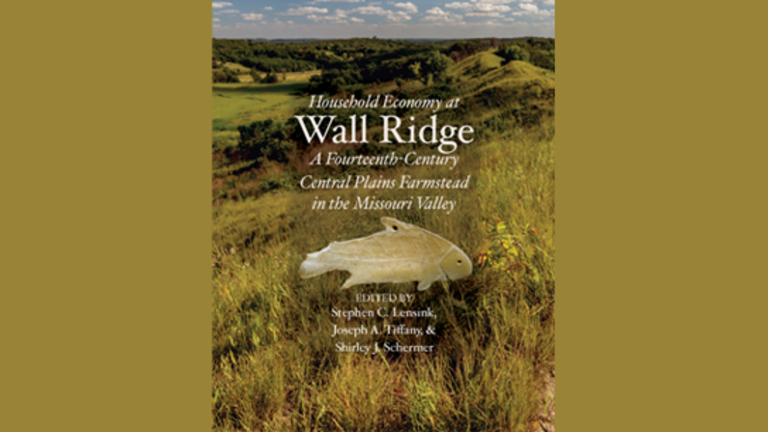 Cover art for Household Economy at Wall Ridge