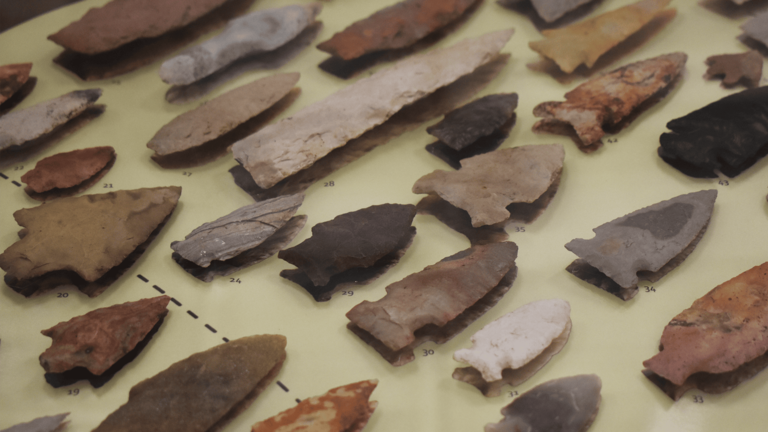 a collection of projectile points
